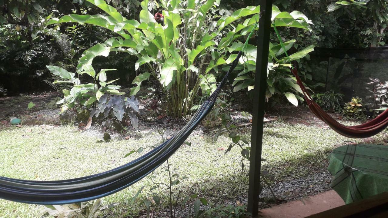 Casa Arlecchino Lejlighed Puerto Viejo de Talamanca Eksteriør billede