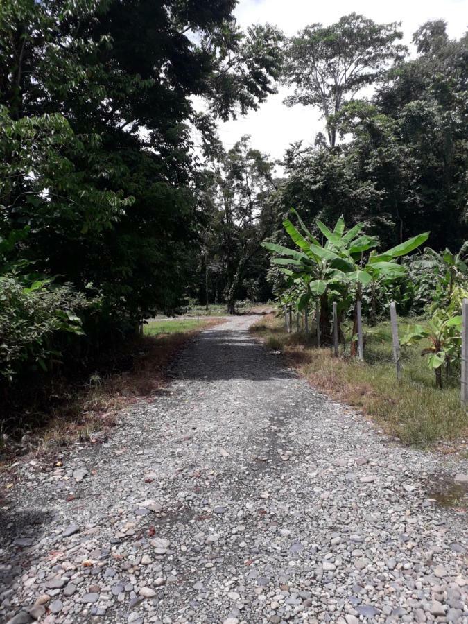 Casa Arlecchino Lejlighed Puerto Viejo de Talamanca Eksteriør billede
